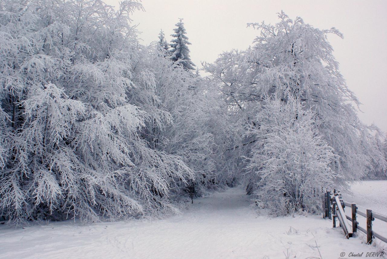 Sous la neige - BARAQUE-MICHEL