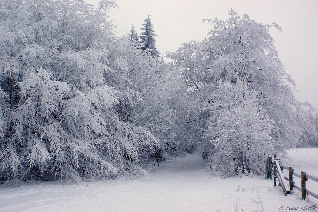 Sous la neige - BARAQUE-MICHEL