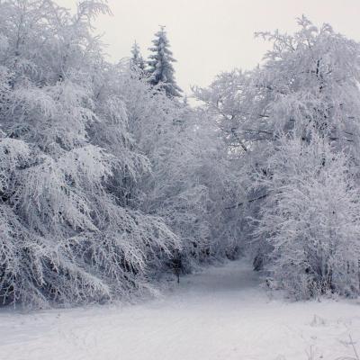 Sous la neige - BARAQUE-MICHEL