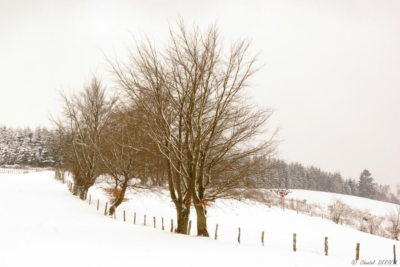 Campagne de Chôdes - MALMEDY