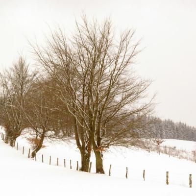 Campagne de Chôdes - MALMEDY