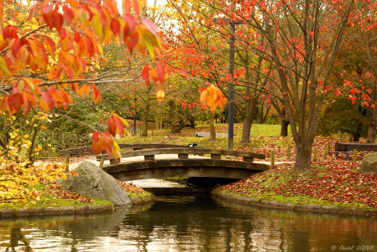 Le jardin Japonais - HASSELT