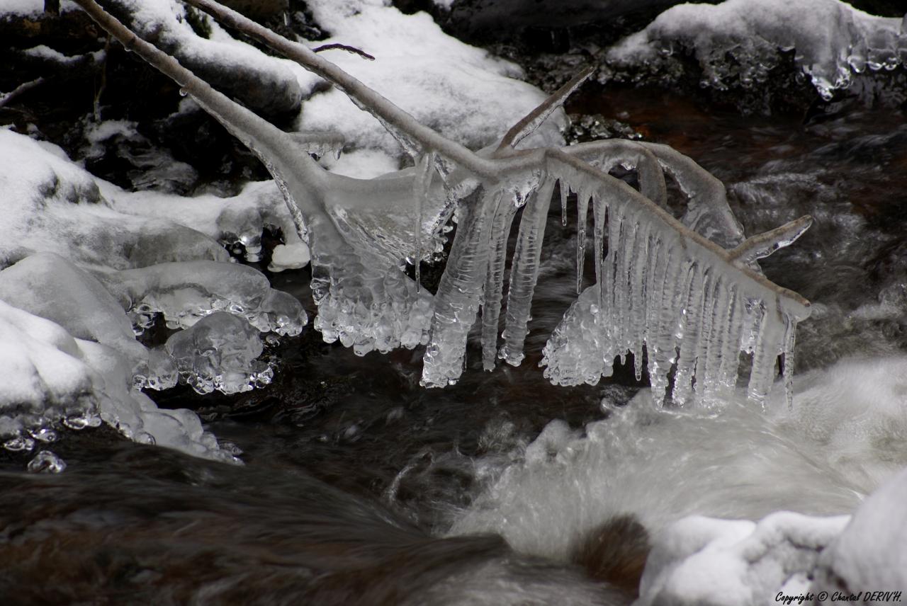 Figé dans la glace - LONGFAYE 