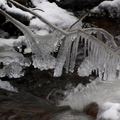 Figé dans la glace - LONGFAYE 