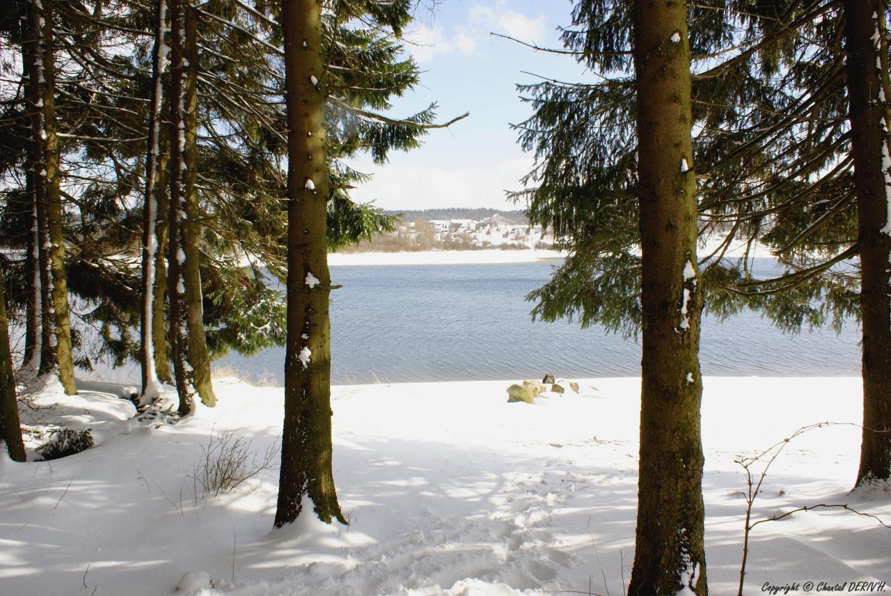 Lac de Bütgenbach - BERG