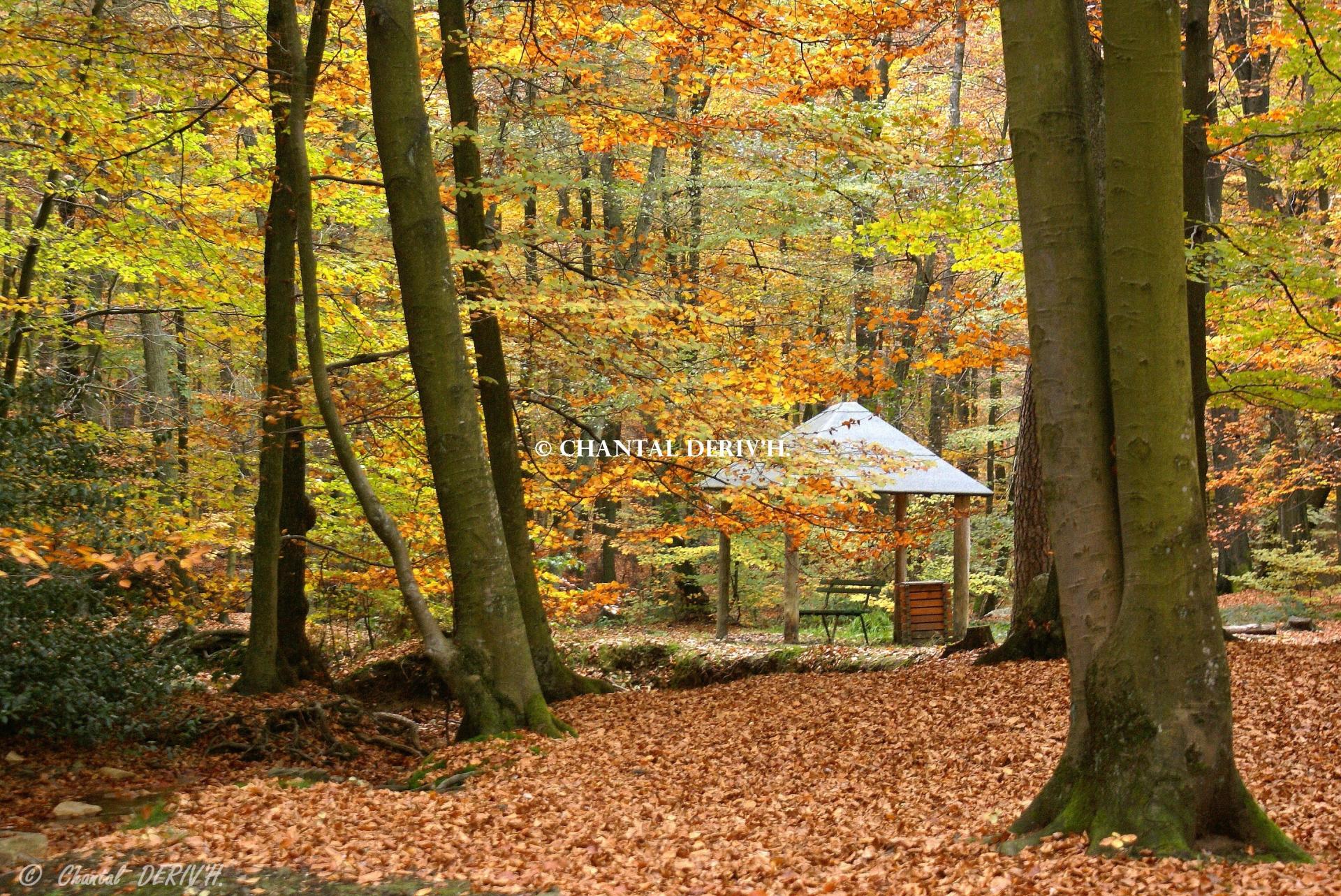 Chemin des fontaines