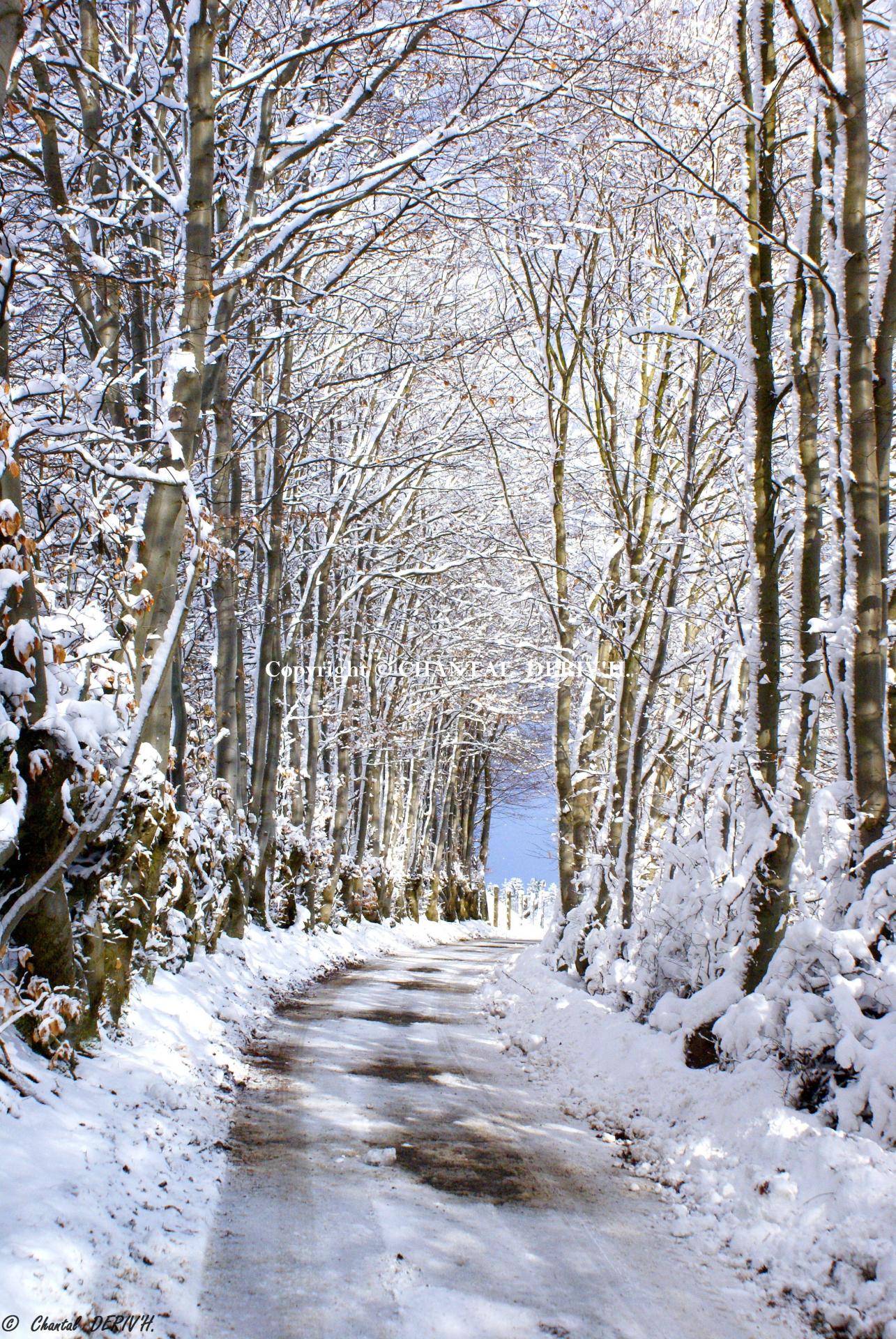 Chemin sur la colline Chôdes