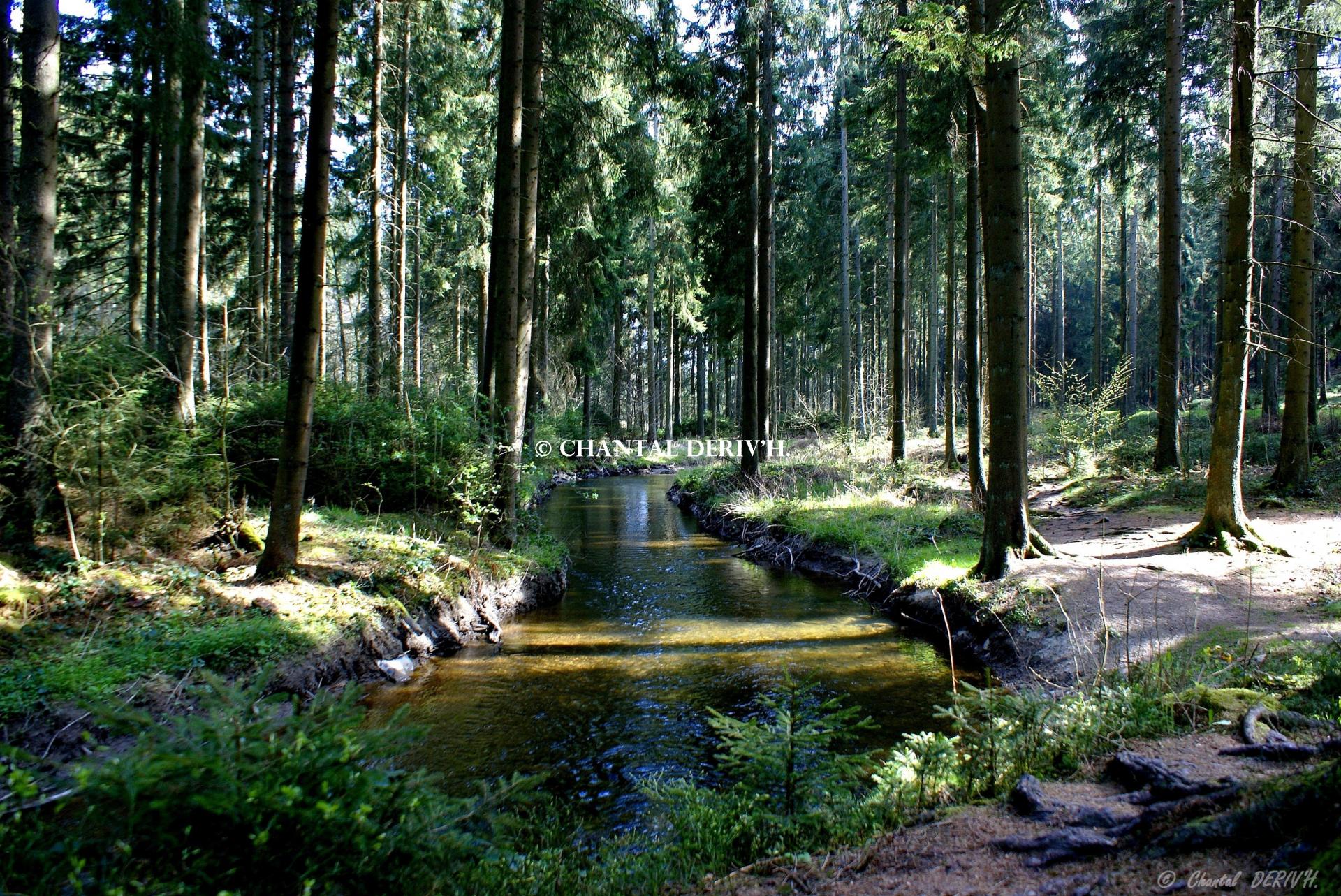 L Ambleve à MONTENAU