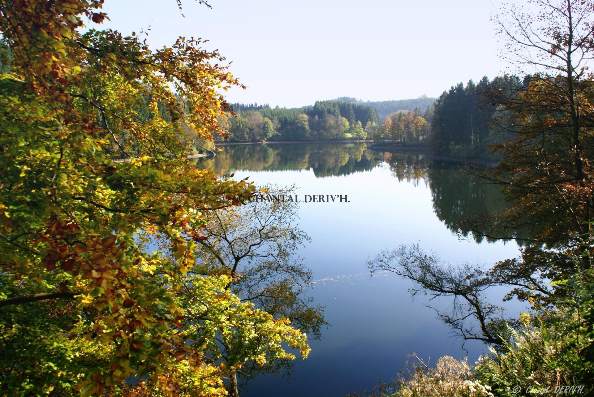 Lac de Robertville WAIMES