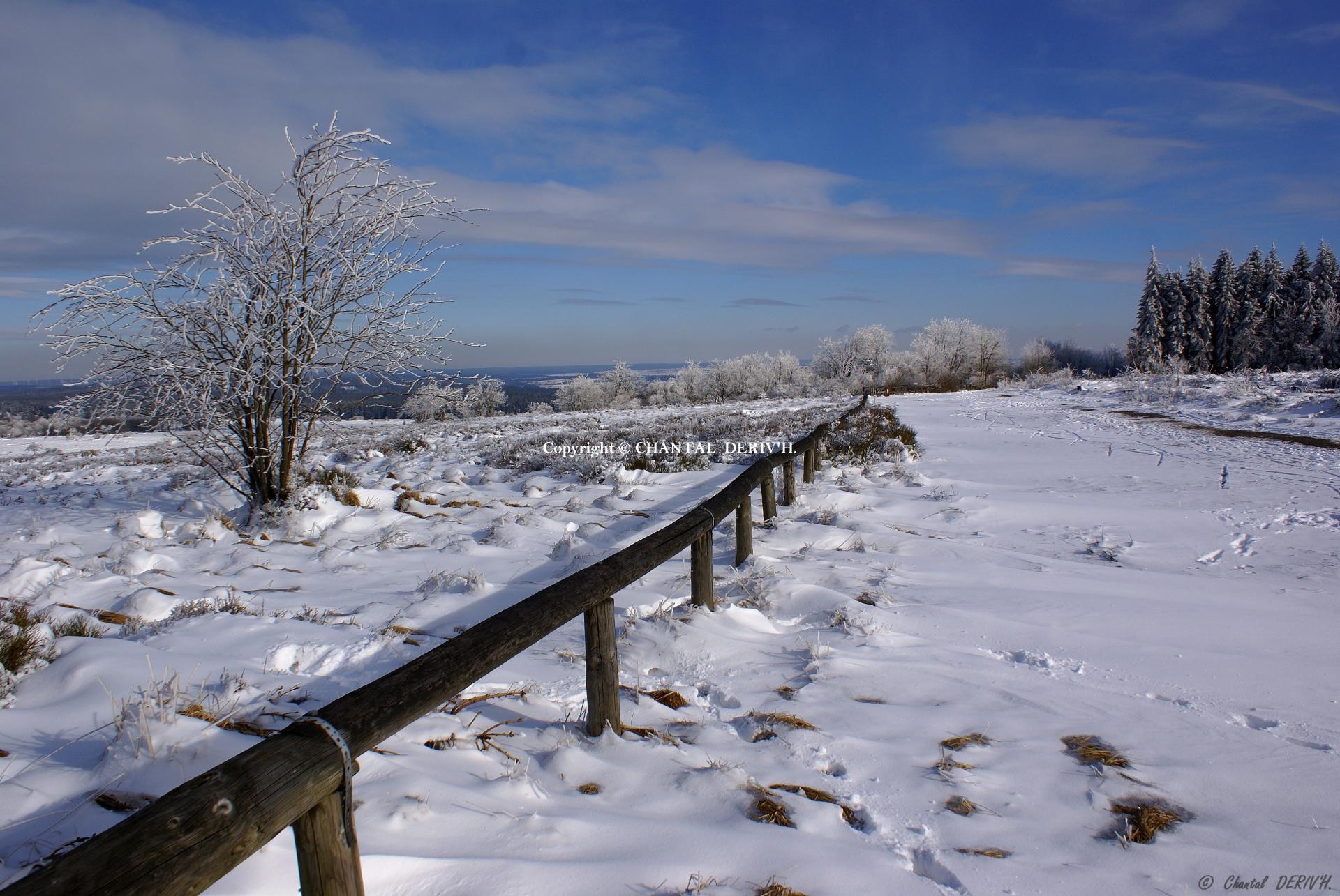 Les fagnes de botrange n 03 3