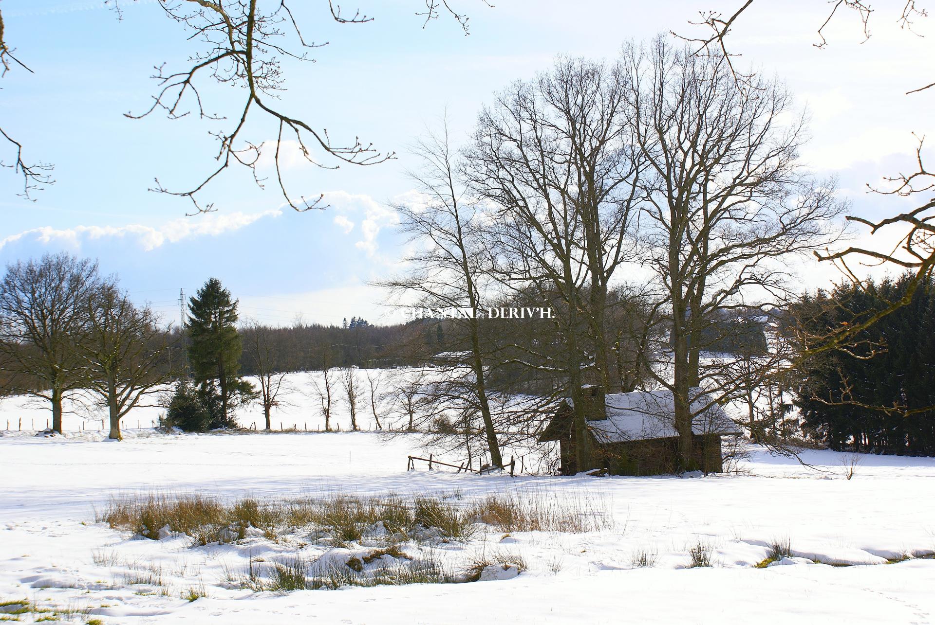 Maisonnette sous la neige