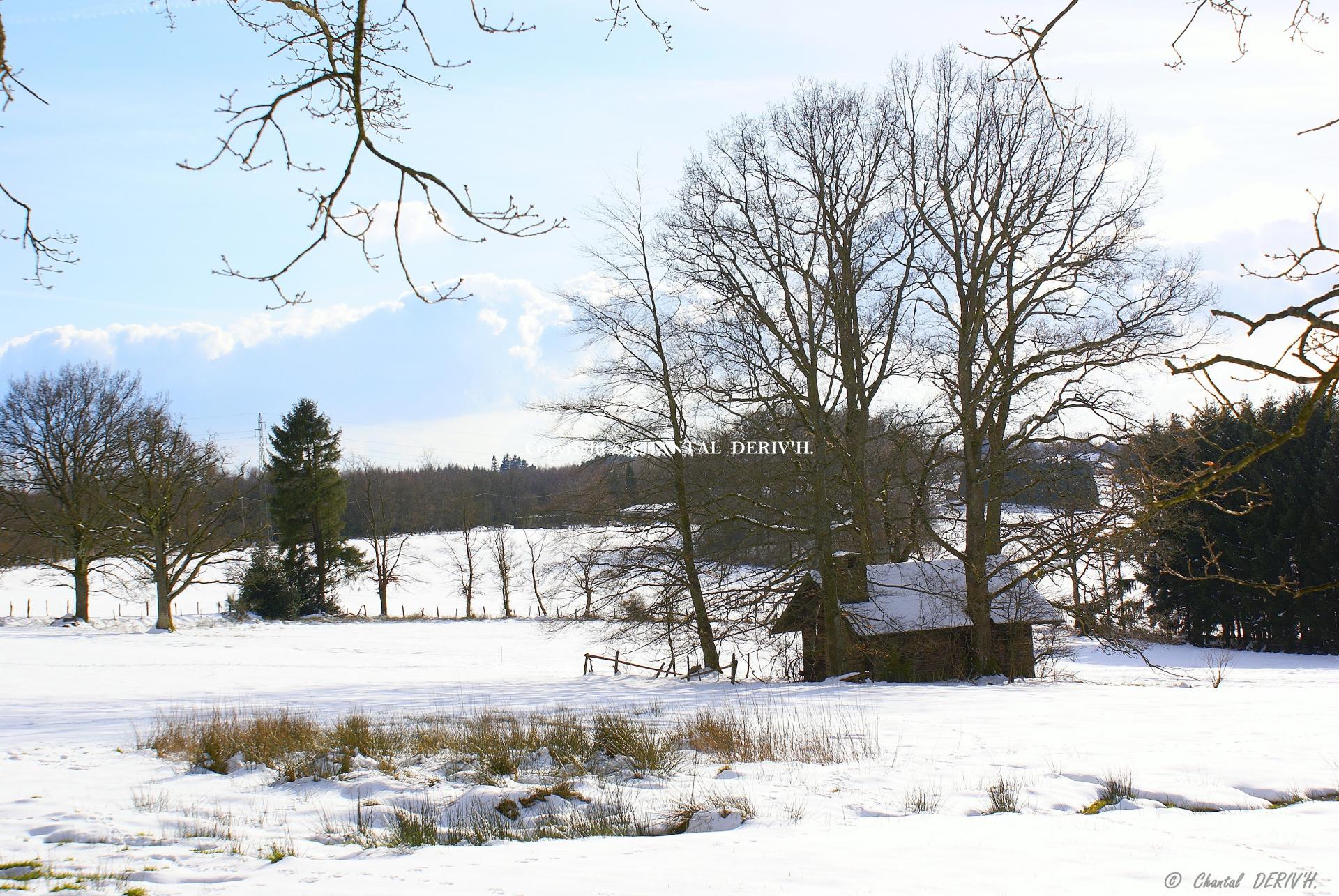 Maisonnette sous la neige à Bernister