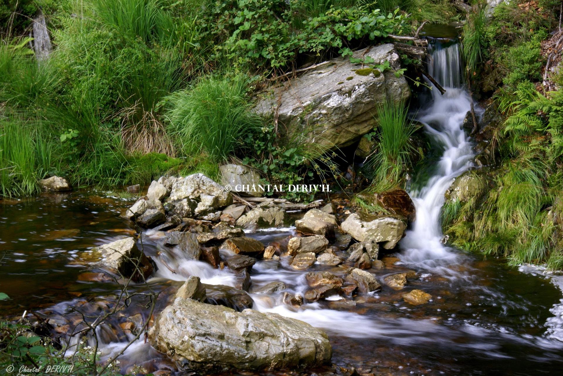 Rau des Tailles vallée du Bayehon NOUPRE-LONGFAYE