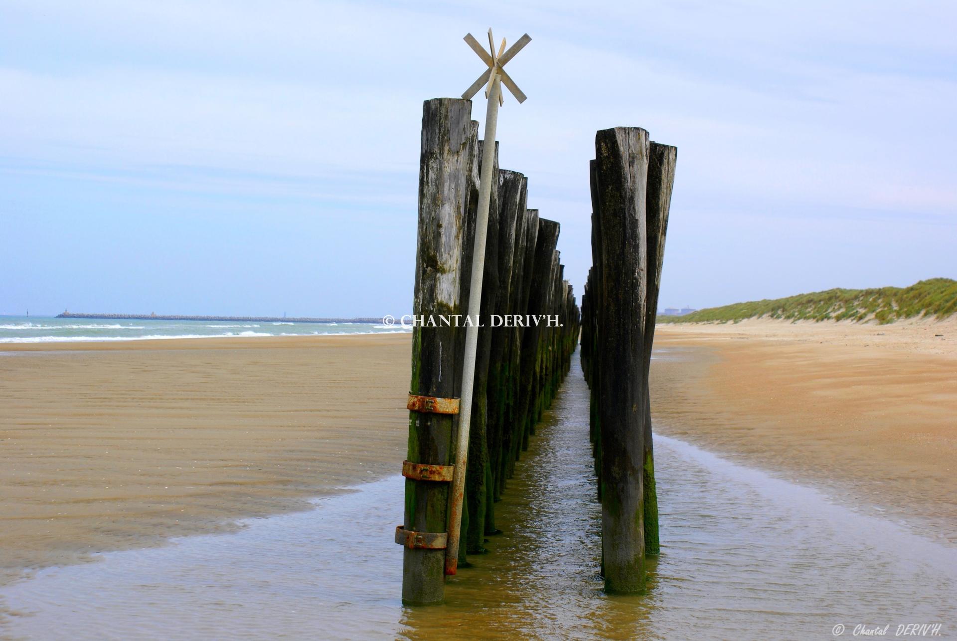 Sentinelles plage les Escardines FRANCE